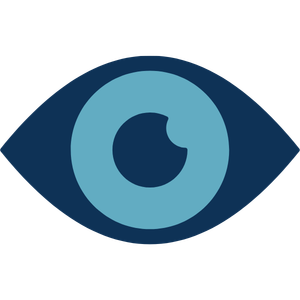 LASIK Icon 4